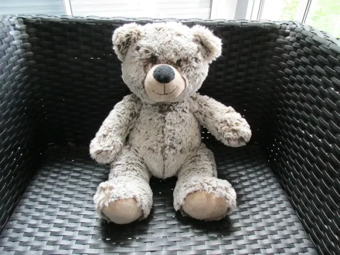 peluche ours enesco comme neuf,30 cms