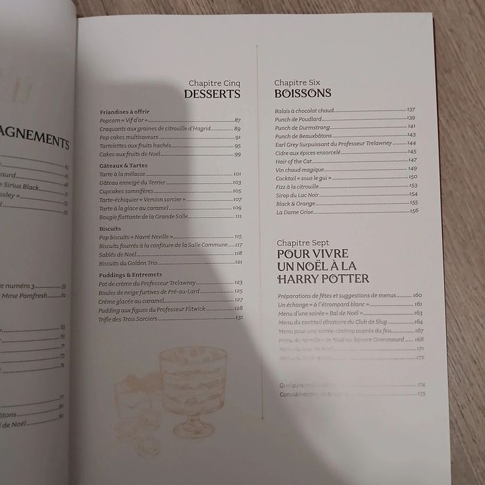 Livre de recette Harry Potter - photo numéro 9