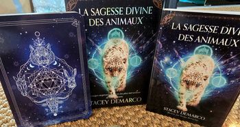 L’oracle la sagesse divine des animaux 