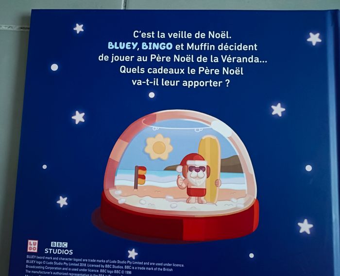 Lot de livres de Noël : Bluey, Pat' Patrouille Paw Patrol, Monsieur Loup,  La Petite fille - photo numéro 4