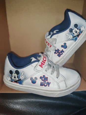 Bascket Mickey