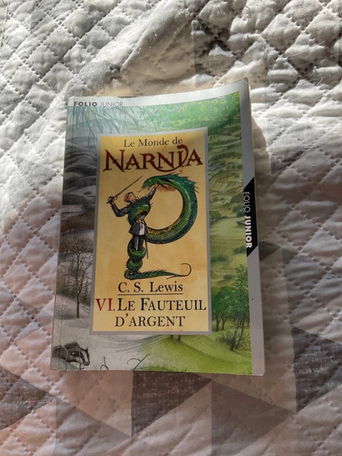 #le monde de Narnia le fauteuil d’argent LEWIS - photo numéro 2