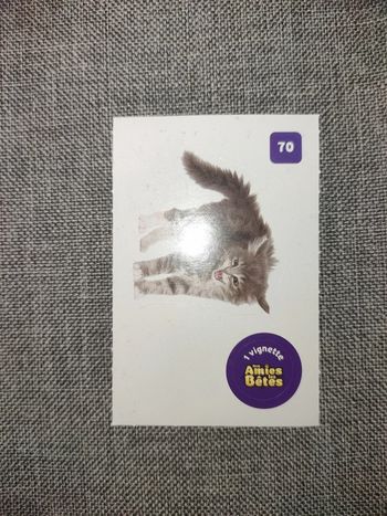 Autocollant nos amies les bêtes