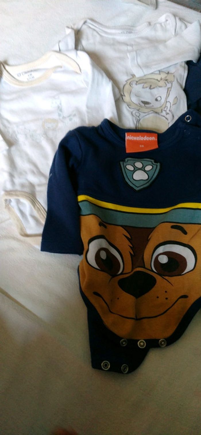 Lot bodies - photo numéro 2