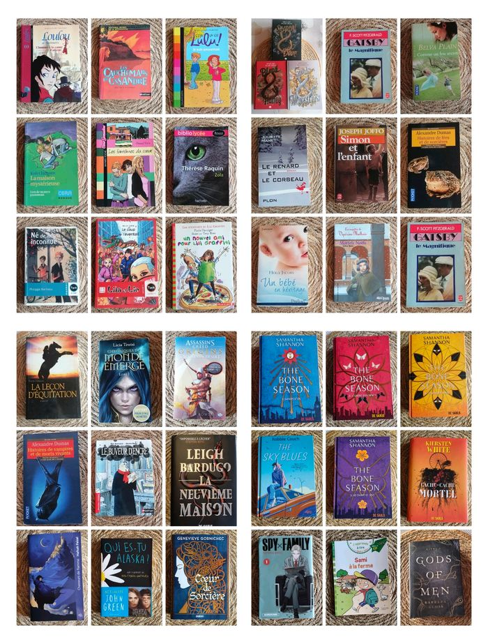 Divers livres - photo numéro 2