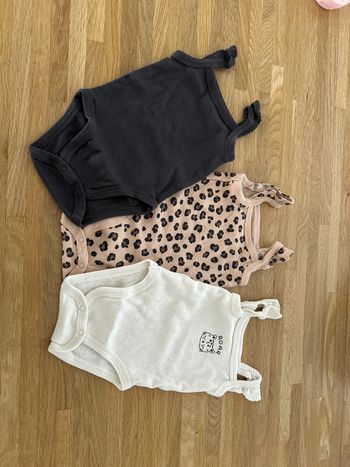 Lot bodies