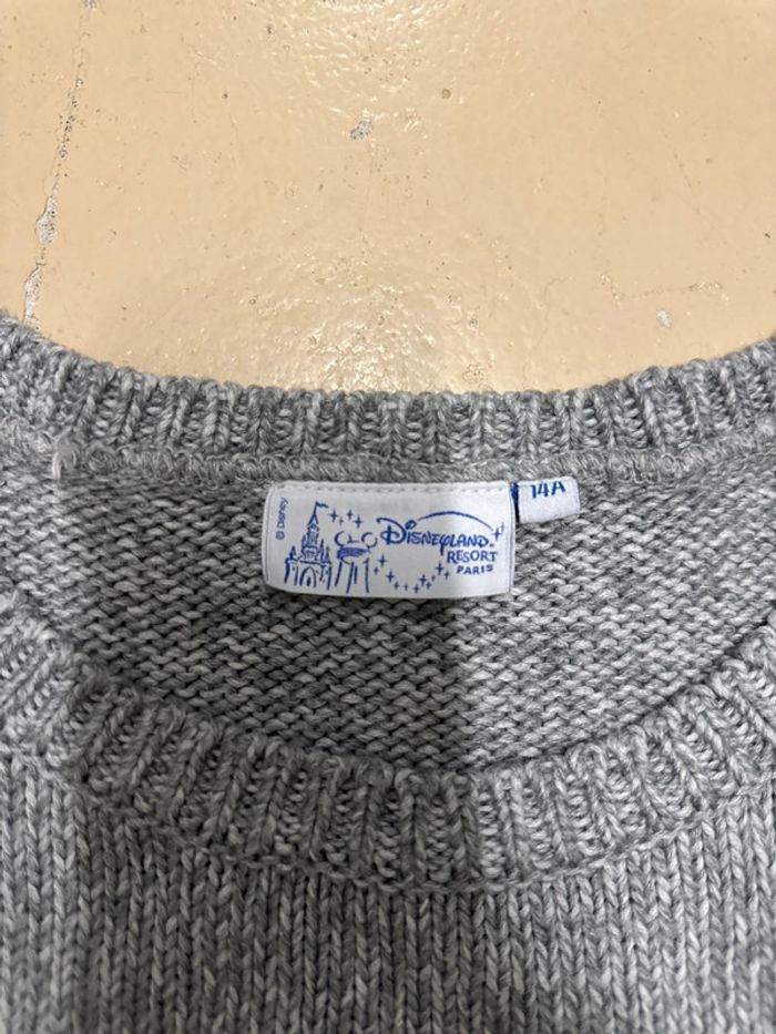 Pull Disneyland 14 ans - photo numéro 2
