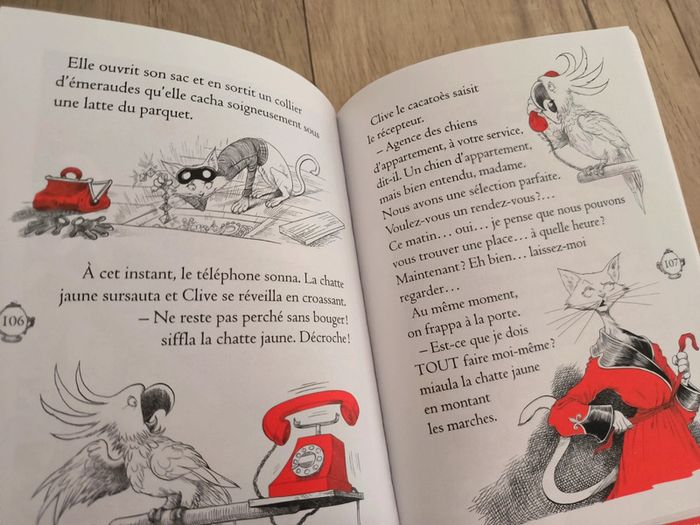 Livre Apolline et le chat masqué Riddell - photo numéro 9