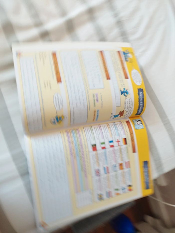 Cahier de vacances les Schtroumpfs du ce 2 au CM1 - photo numéro 4