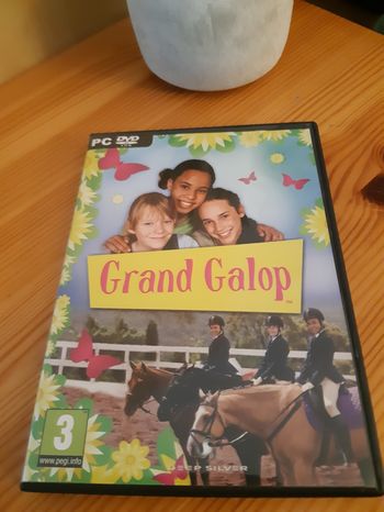 Jeu pc grand galop