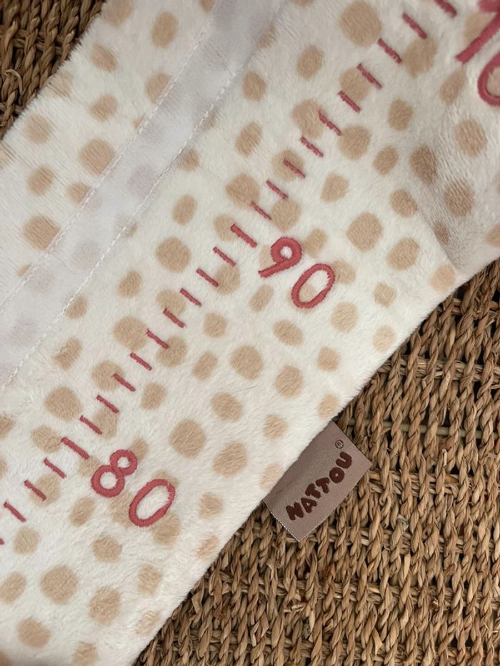 Nattou toise Charlotte et Rose + Coffret de naissance Moulin Roty - photo numéro 4