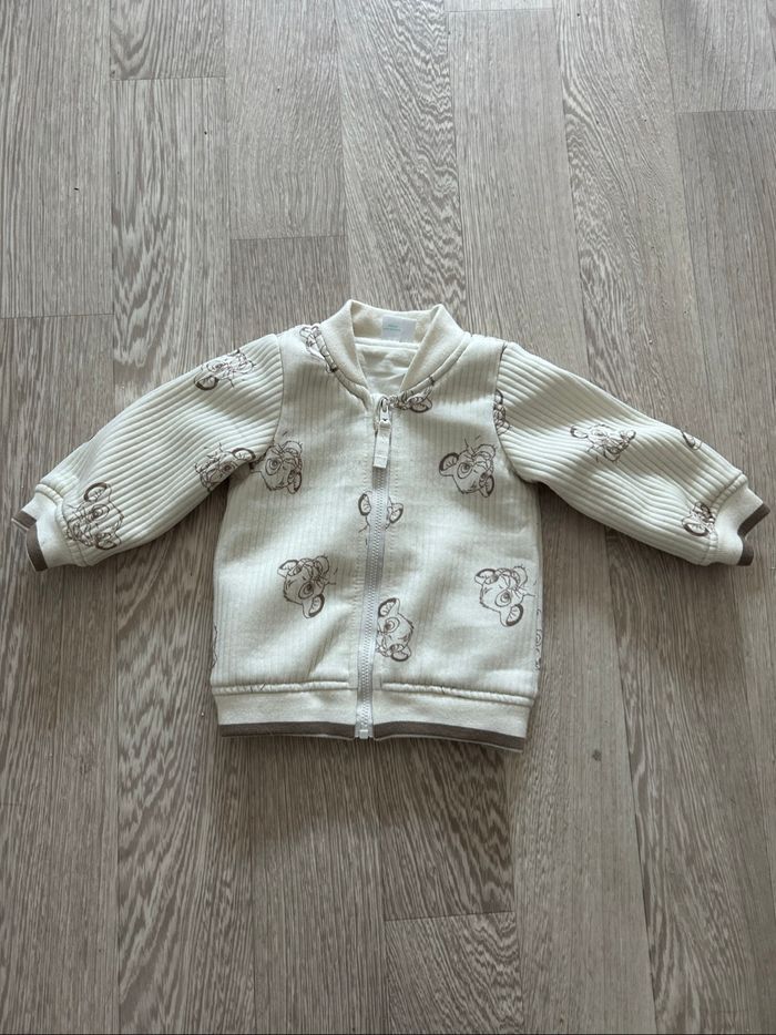 Veste roi lion