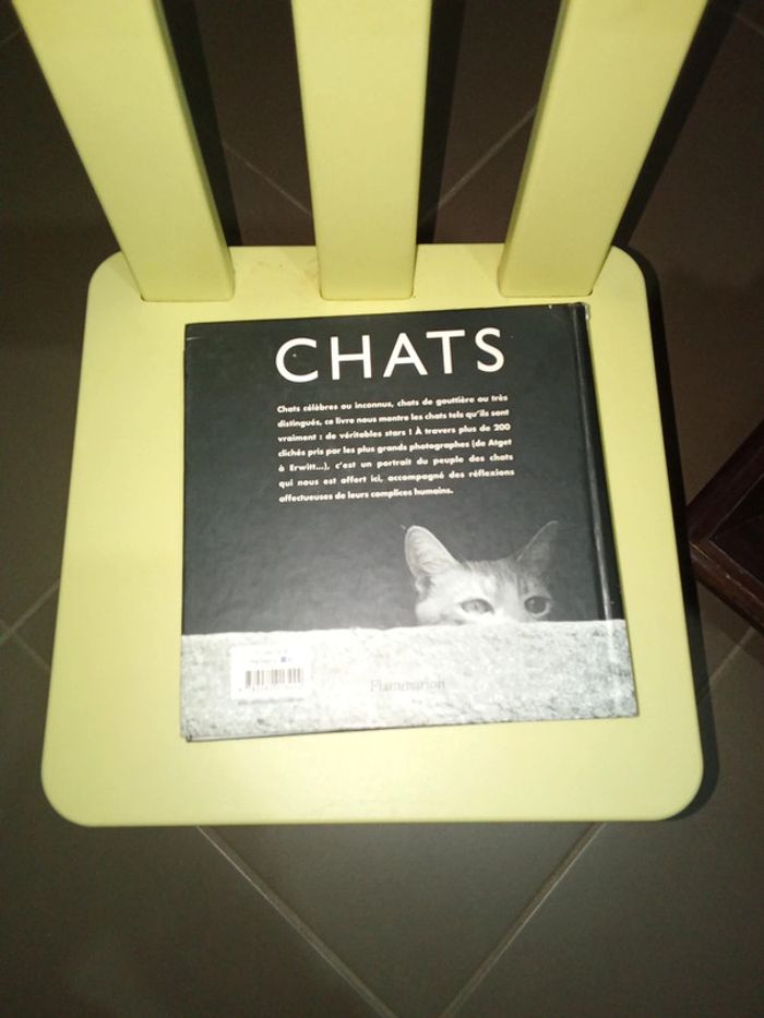 Livre sur les chats - photo numéro 2