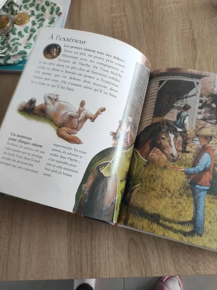 Livre nathan les poneys - photo numéro 3
