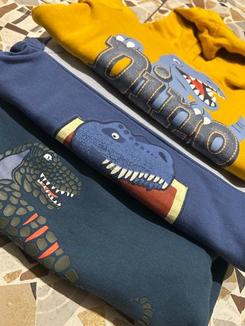 Lot de pulls dinosaures