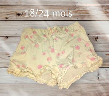 Short motifs pêches