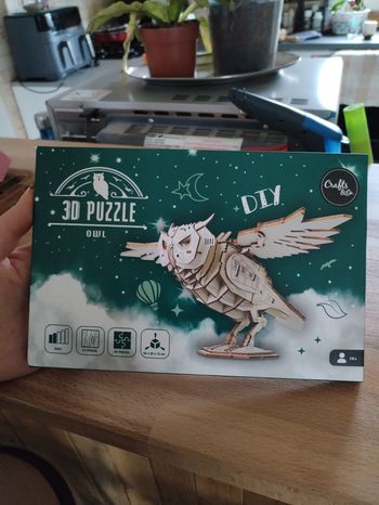 Puzzle chouette 3D en bois