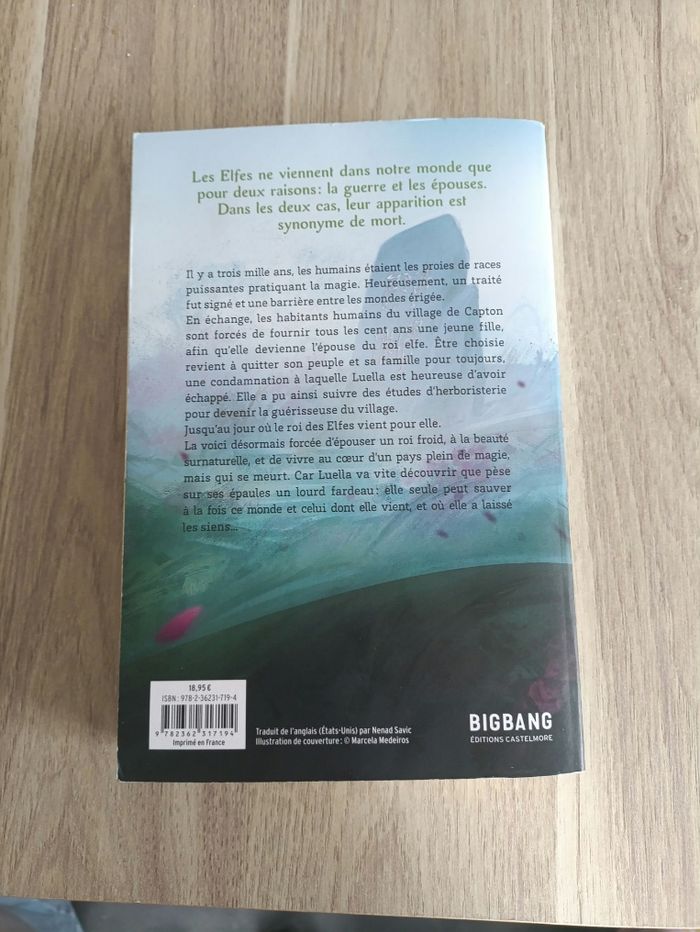 Livre " Un pacte avec le roi elfe" - photo numéro 3