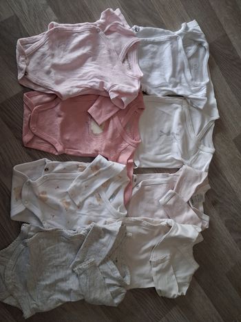 Lot body