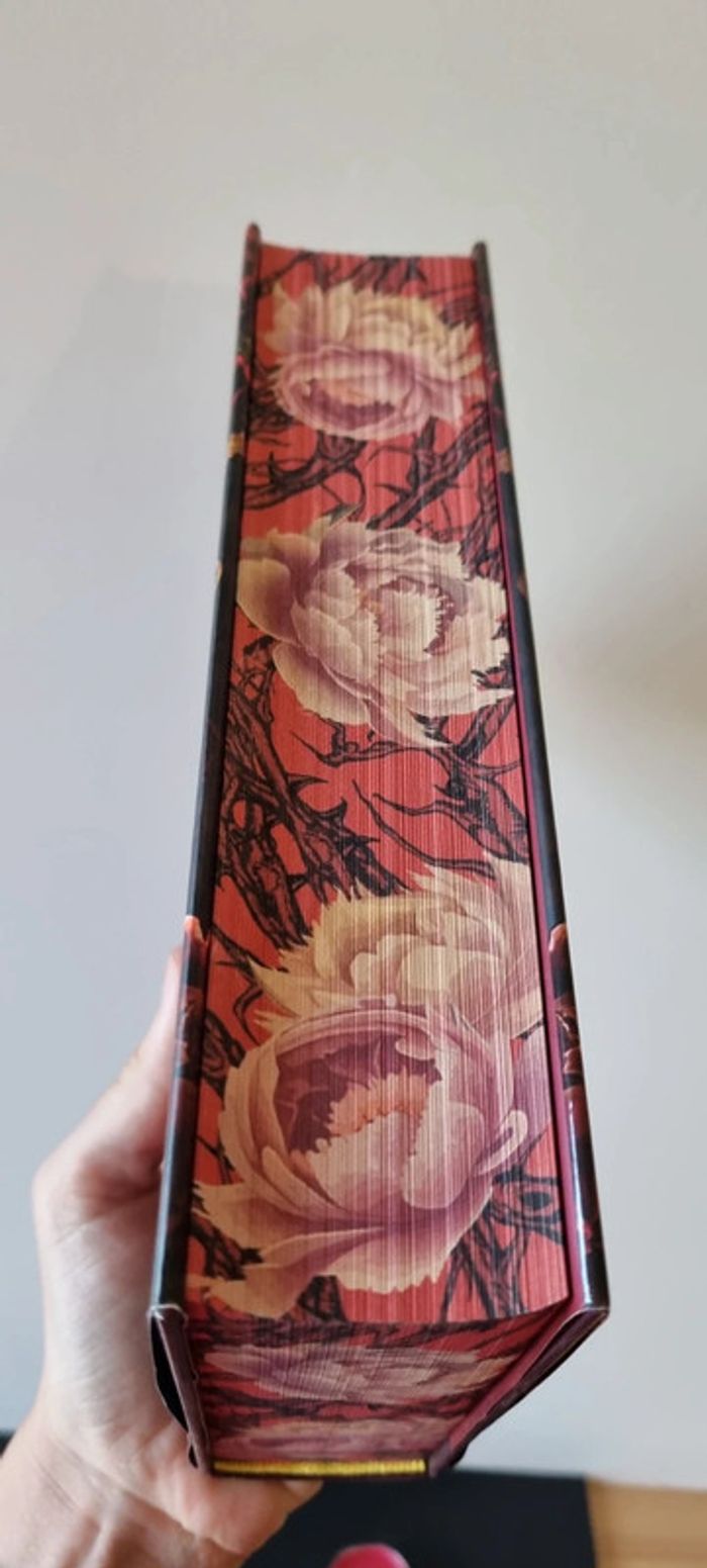 Box La Maison aux ailes déployées + Goodies - photo numéro 12