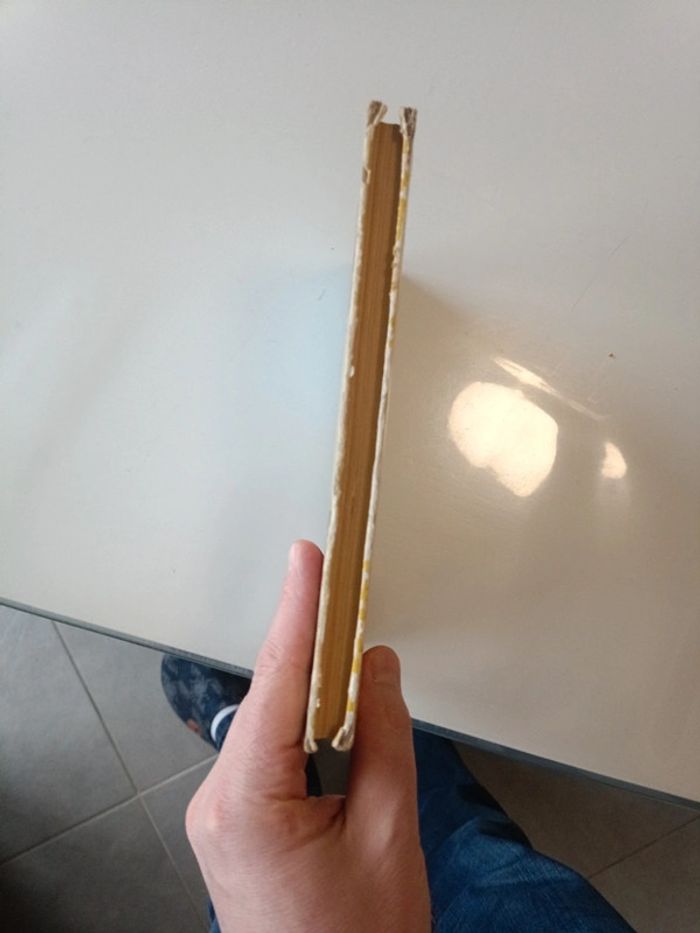 Heidi - photo numéro 3