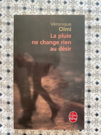 La pluie ne change rien au désir de Véronique Olmi