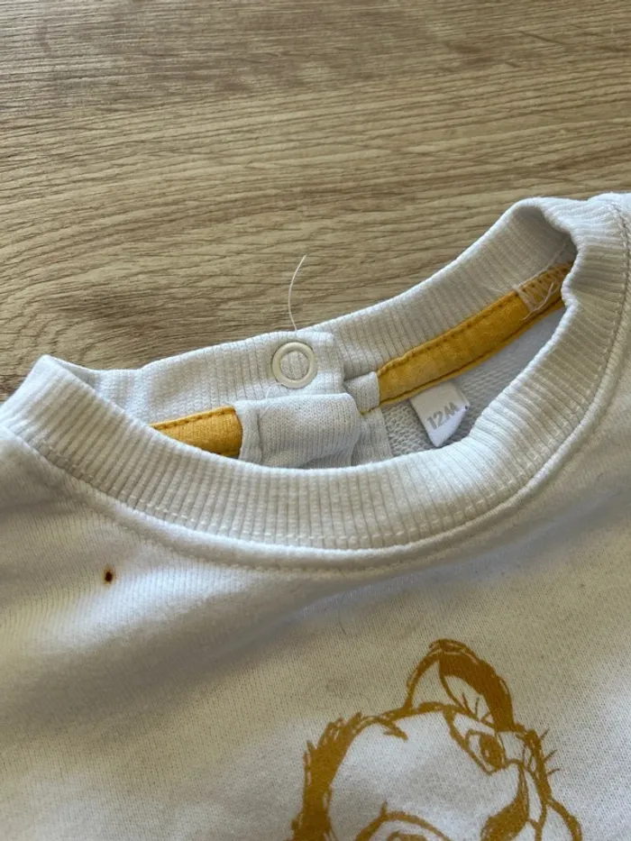 Lot de 2 pull le roi lion - photo numéro 2