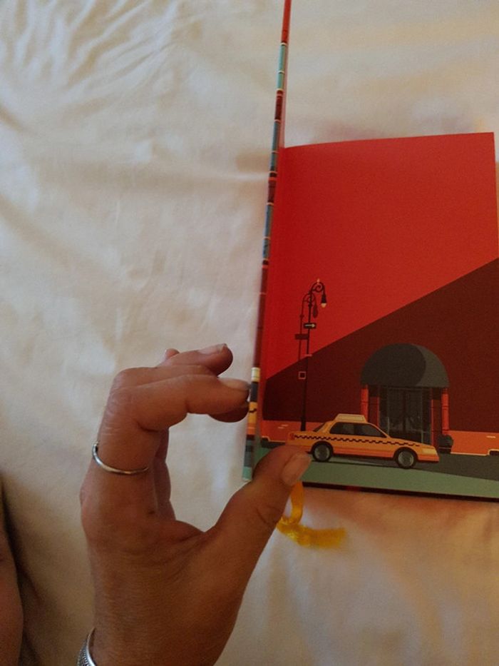 Une fille comme ça - Marc Levy - photo numéro 3