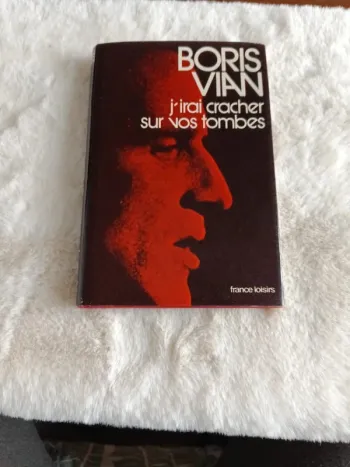 Livre : j'irai cracher sur vos tombes