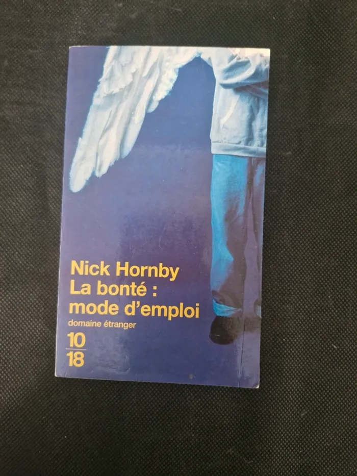 La bonté mode d'emploi - Nick Hornby - photo numéro 2