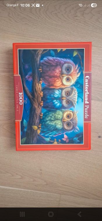 Puzzle hiboux, castorland, 1000 pièces