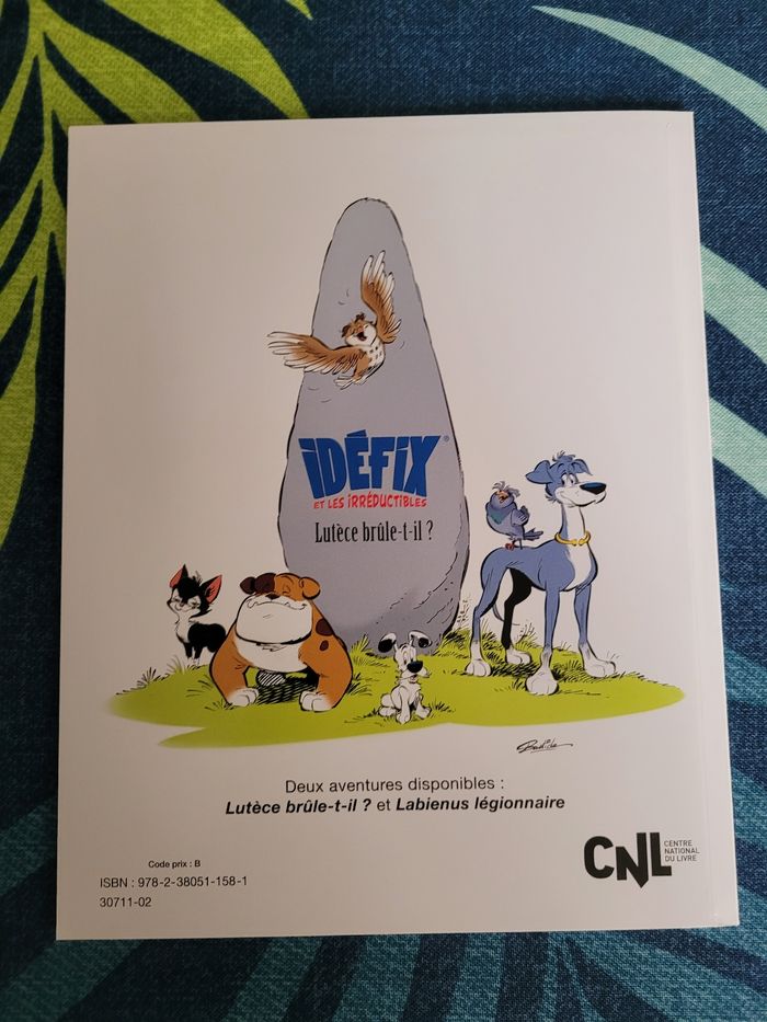 Livre idefix et les irréductibles lutece brûle t il - photo numéro 4