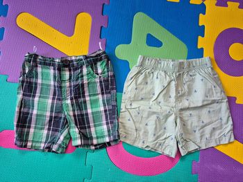 Lot 2 shorts 24m