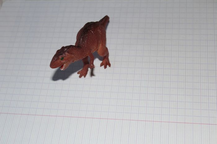 dinosaure - photo numéro 2