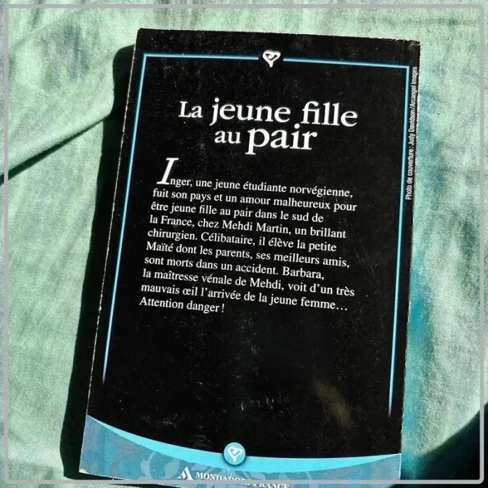 La jeune fille au pair de Marie Larcher - photo numéro 4
