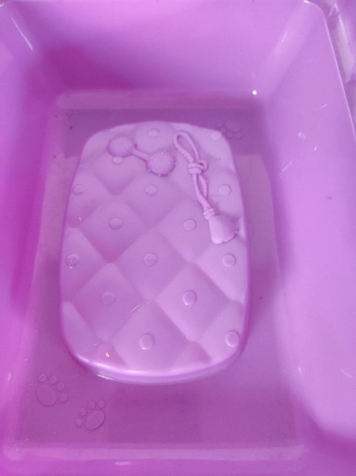 chat à soigner - photo numéro 6