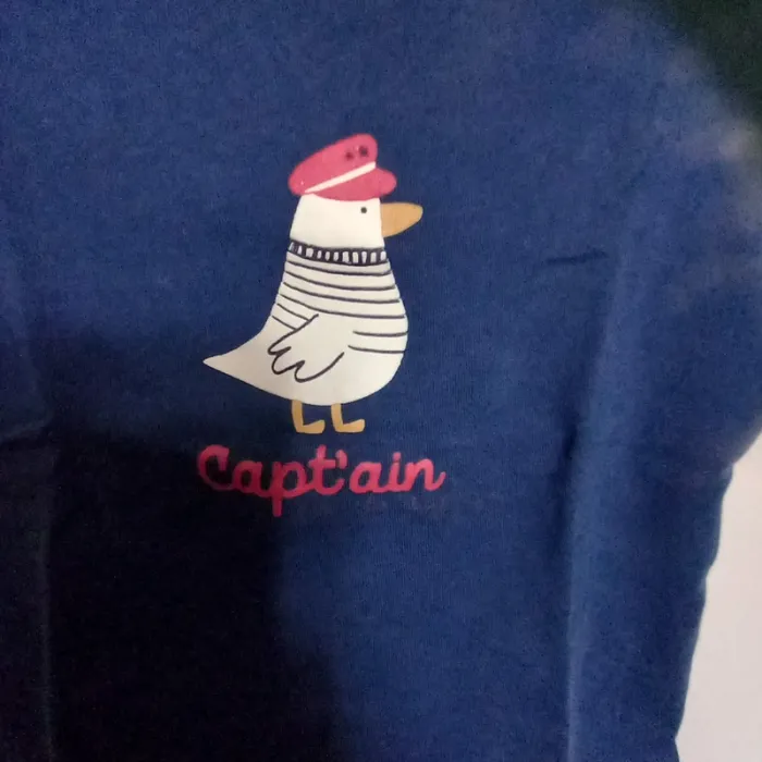 T-shirt mouette Capt'ain Bout'chou 9 mois - photo numéro 3