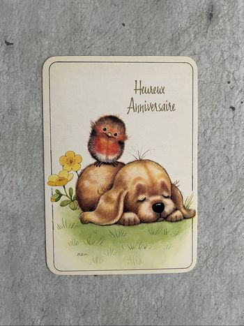 Lot 6 cartes heureux anniversaire oiseaux