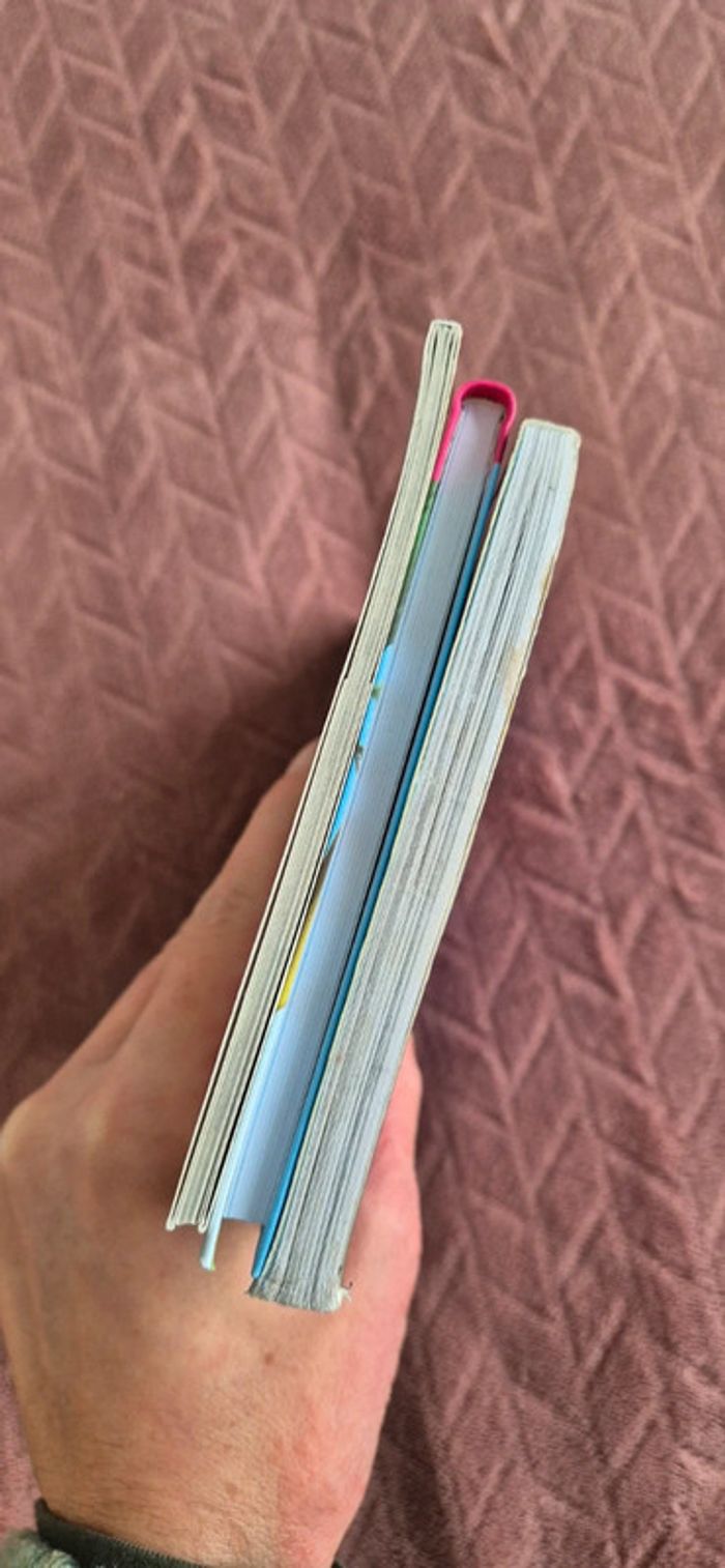 Lot livres chevaux - photo numéro 8