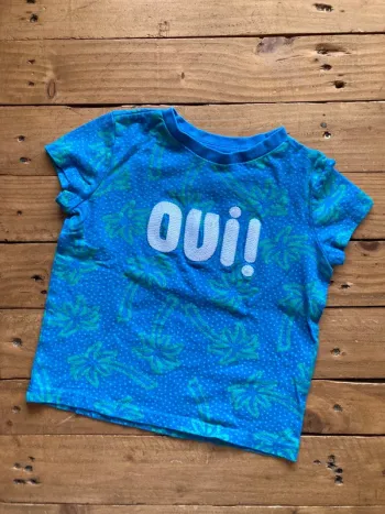 Tee shirt dpam