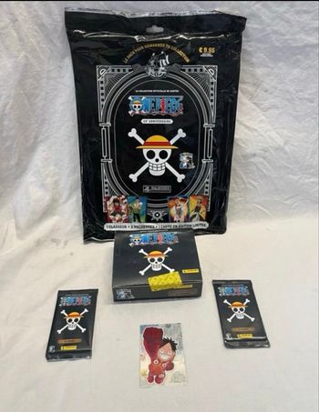 Kit one piece 25 ans carte à collectionner