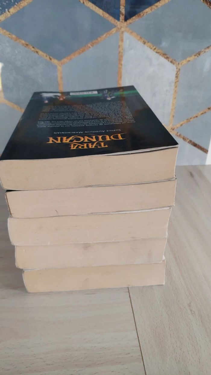 Lot 5 livres Tara Duncan tomes 4 5 7 8 9 continent dragon invasion impératrice reine noire - photo numéro 7