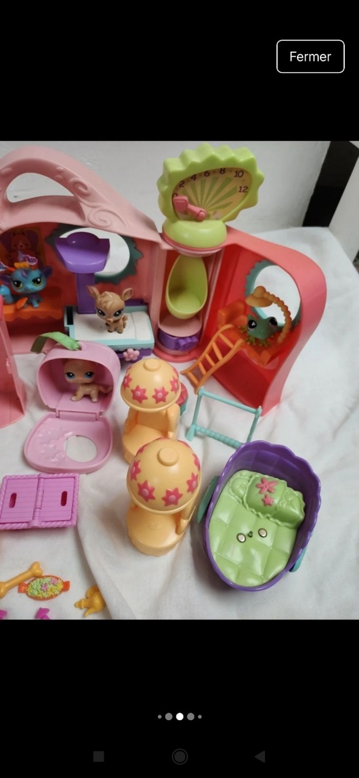 Pet shop - photo numéro 8