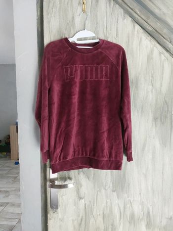 Sweat puma