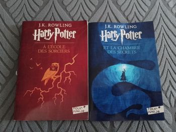 Lot de 2 livre Harry Potter