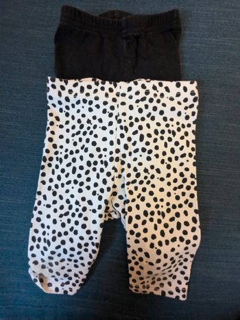 Lot legging court
