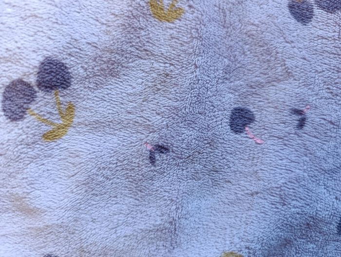 Lot 10 pyjamas/grenouillère chaud - photo numéro 9