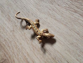Broche Ancienne Lézard ou salamandre dorée