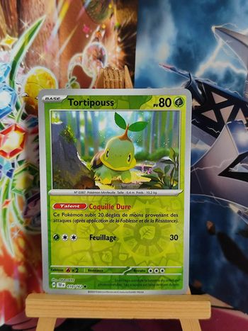 Tortipouss reverse 10/162 Forces Temporelles