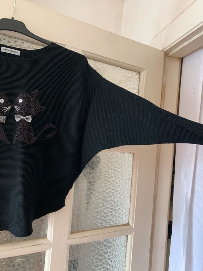 Pull chat chauve souris - photo numéro 2